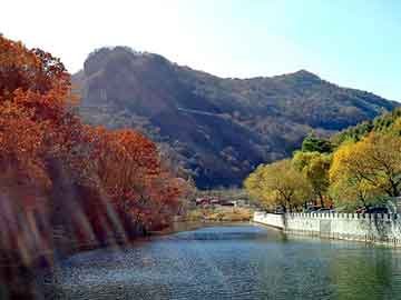 管家婆黑白马报图库，丰田霸道vx